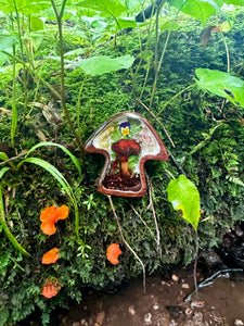 Bolete Wood Cute