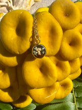 Load image into Gallery viewer, Myco Pendant
