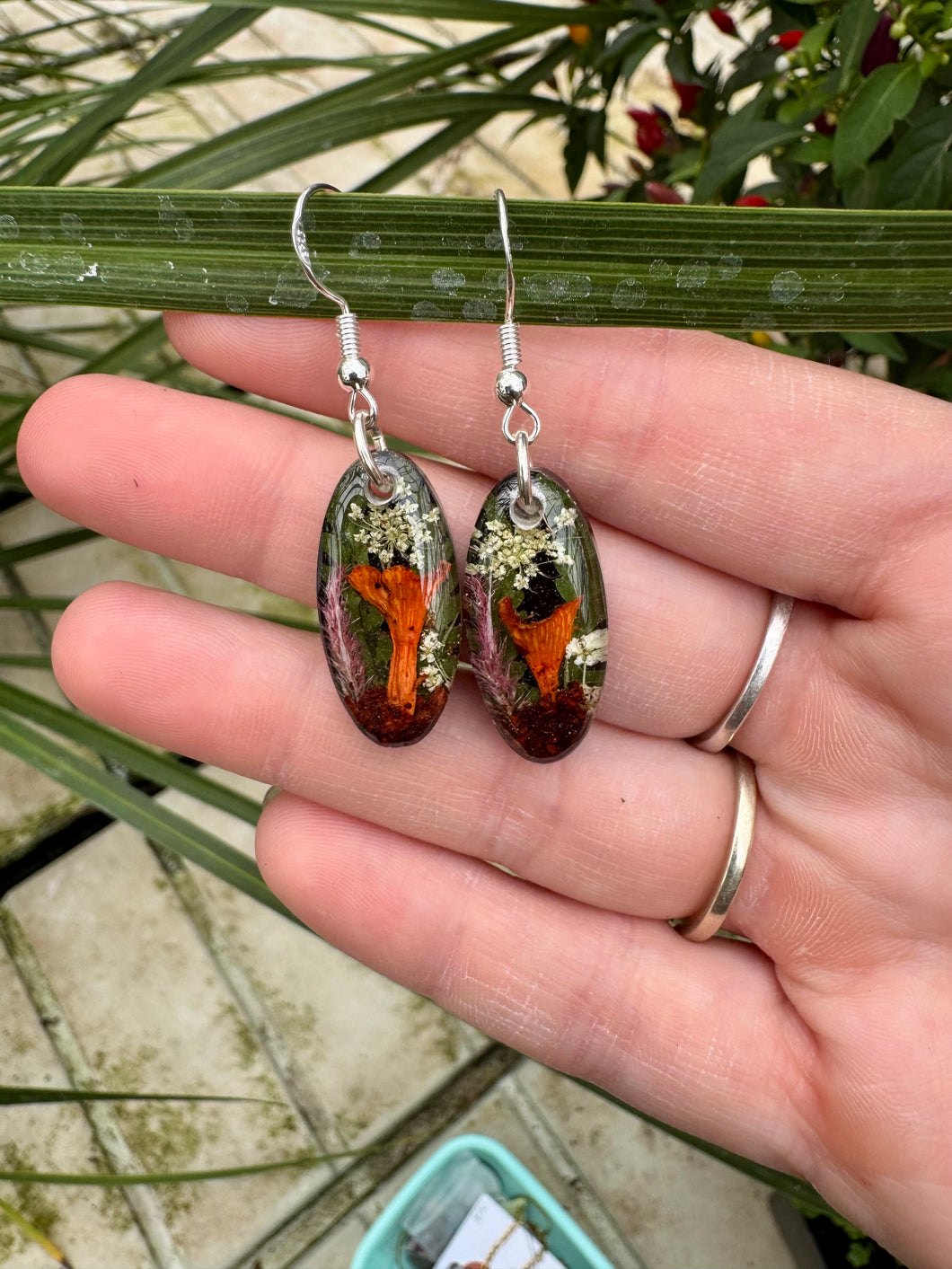 Red Chanterelle Danglys