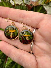 Load image into Gallery viewer, Golden Oyster Danglys - Gold
