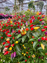 Load image into Gallery viewer, Funky Shaped Pendant
