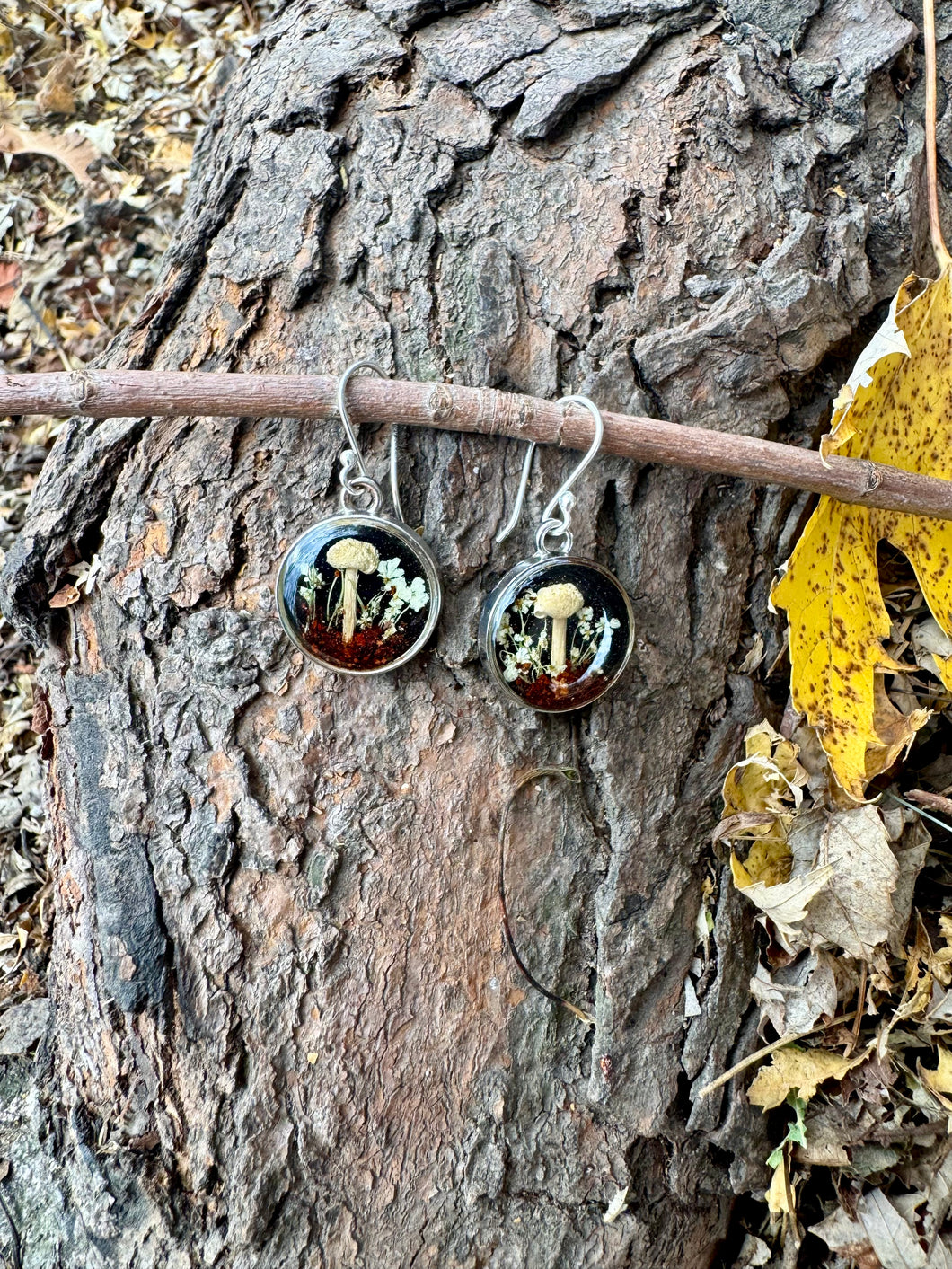 Beech Mushroom Danglys