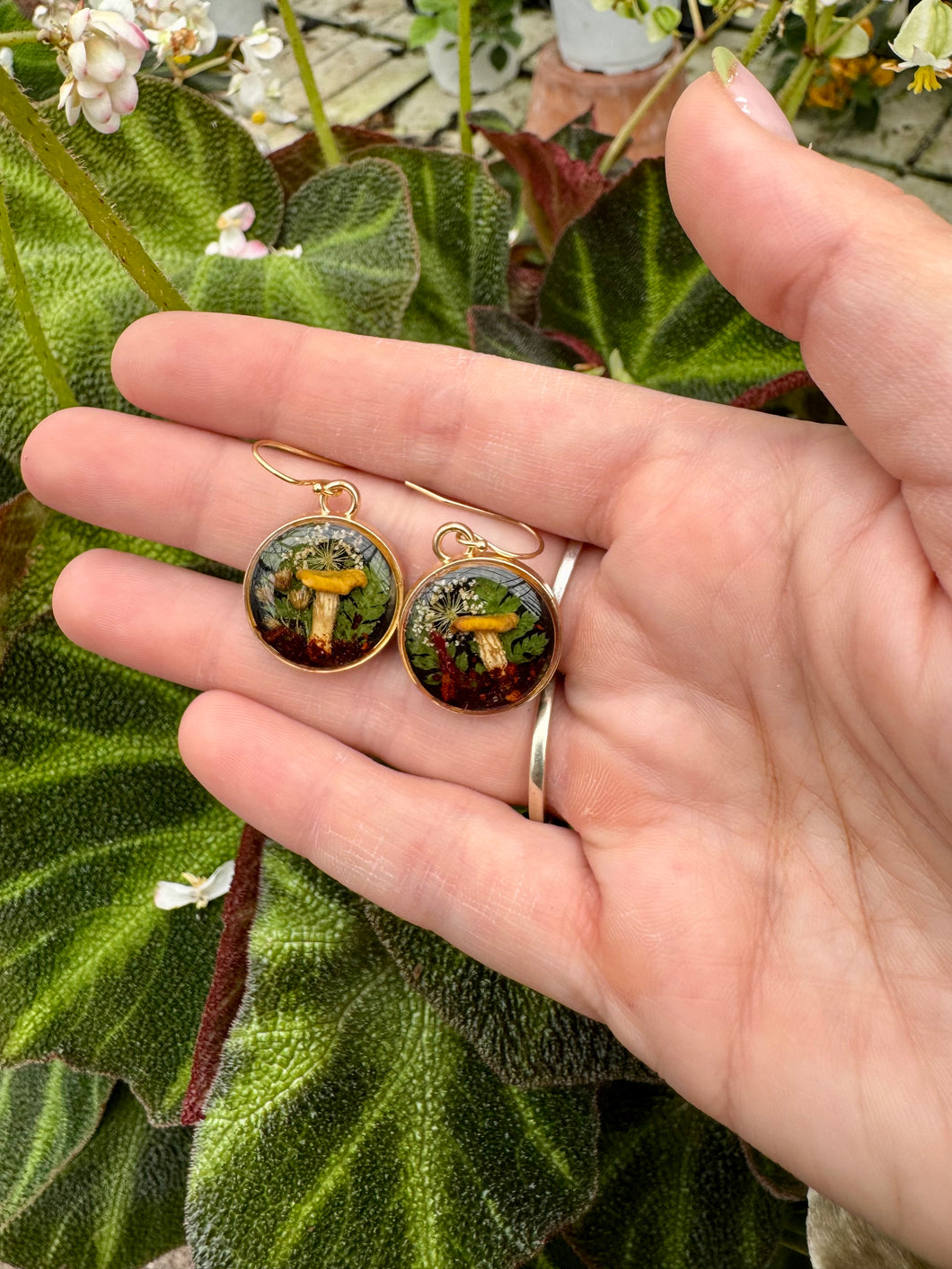 Golden Oyster Danglys - Gold