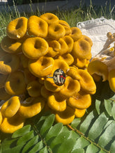 Load image into Gallery viewer, Oval Oyster Ring
