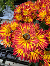 Load image into Gallery viewer, Sun Pendant
