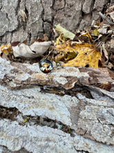 Load image into Gallery viewer, Golden Oyster Dainty Band Ring
