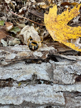 Load image into Gallery viewer, Golden Oyster Double Band Gold Ring
