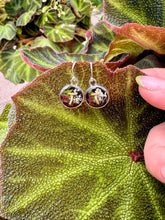 Load image into Gallery viewer, Tiny Oyster Danglys
