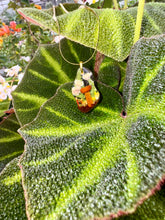 Load image into Gallery viewer, Funky Shaped Pendant
