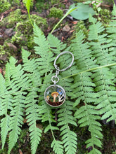 Load image into Gallery viewer, Golden Oyster Keychain
