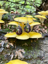Load image into Gallery viewer, Beech Tear Drop Dangly&#39;s
