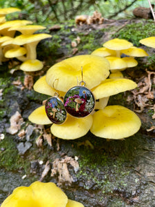Beech Mushy Dangly's
