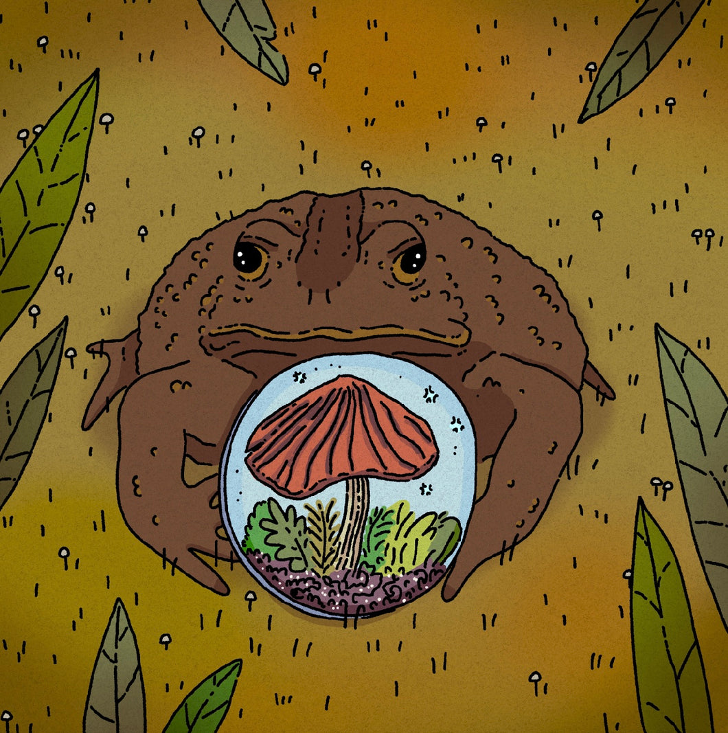 Mushroom Pendant Toad Print 8x8